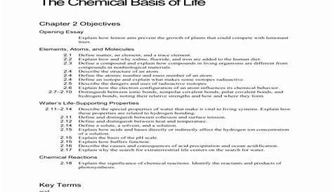 50 Chemistry Of Life Worksheet