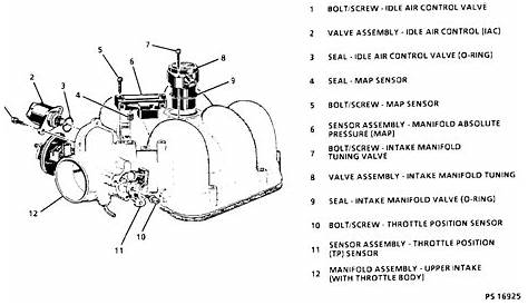 43 Vortec Engine Diagram Download - Diagram Resource Gallery