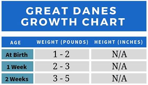 great dane feeding chart by age