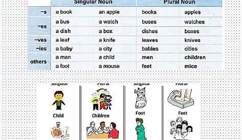 Singular And Plural Noun Worksheets