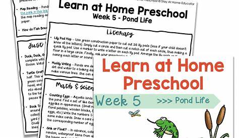 pond life lesson plans for preschool
