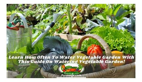 water requirements for garden vegetables