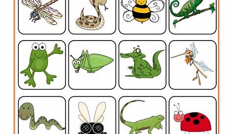 Reptiles, Amphibians, and Insects Worksheet • Have Fun Teaching