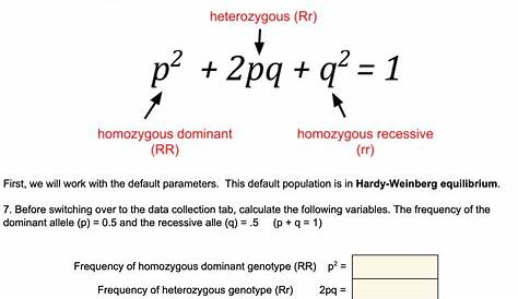 hardy-weinberg equilibrium worksheets