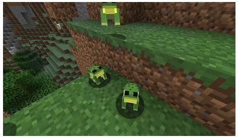FORGS resource pack: add frogs to minecraft! - Resource Packs - Mapping