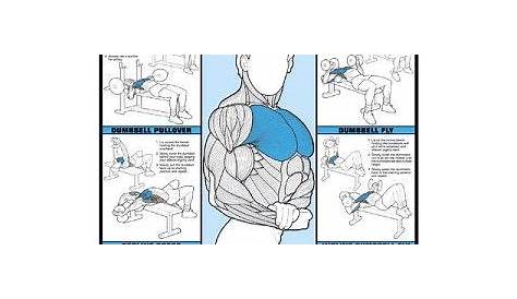 inner chest workout chart