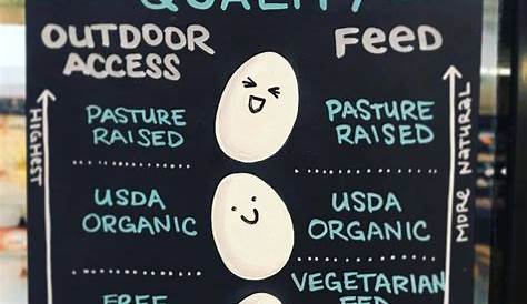 "egg quality chart" for #whole30, etc | Egg quality, Whole 30, Pasture
