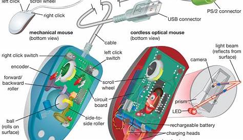 computer mouse parts and functions