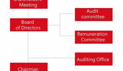 which organization audits charts regularly