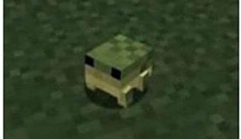 Petition Add Frogs to Minecraft