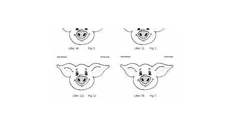Pig Ear Notching Worksheet by Basic Ag Teacher | TPT
