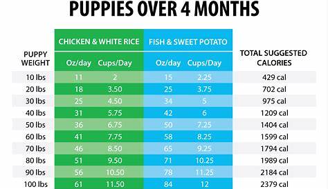 purina pro plan puppy feeding chart