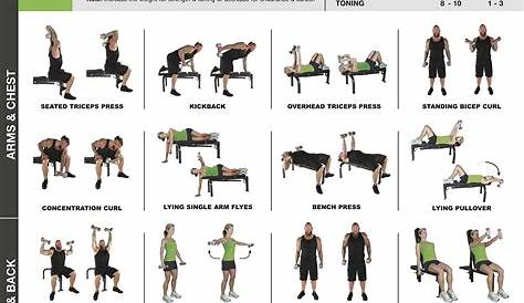 Mua Dumbbell Exercises Laminated Poster Chart - Strength Training