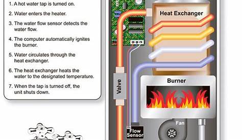 Water Heater Guide: Electric Tankless Water Heater