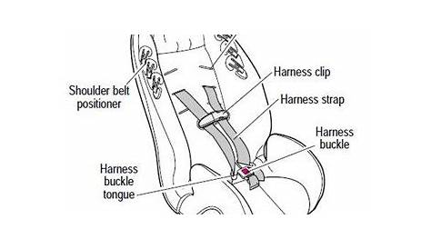 graco car seat strap diagram