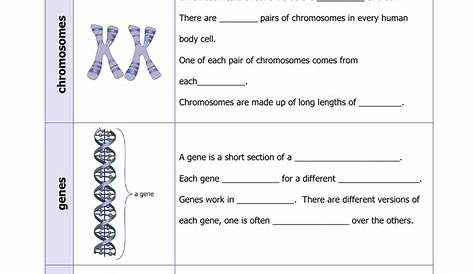 genetic code table worksheet