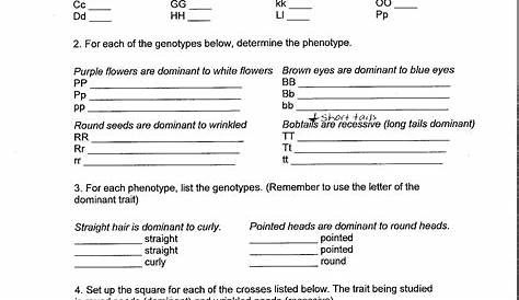 harry potter genetics worksheet answers