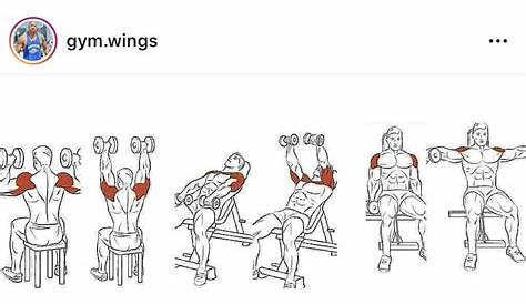 wings gym workout chart
