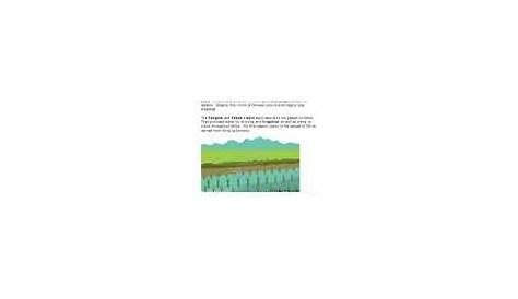Ancient China. Eighth Grade Social Studies Worksheets, Study Guides and