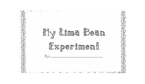lima bean science activity