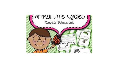 animal life cycle lesson plans