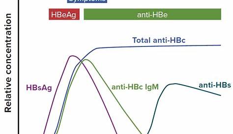 hbv serology interpretation chart