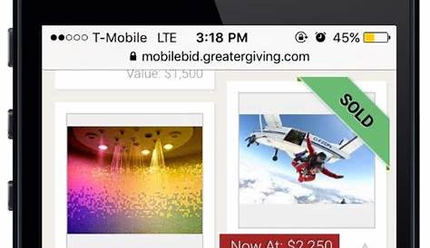 Outbid screenshot of Greater Giving mobile bidding - take your event