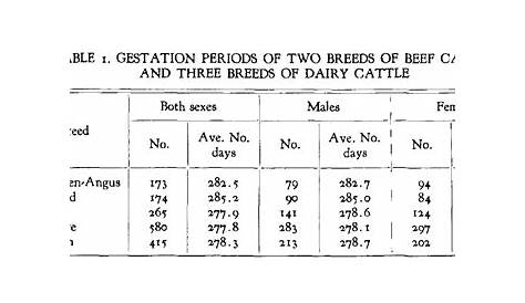 Dairy Cattle - Animal Management