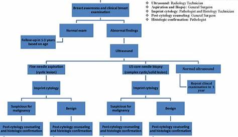 Breast care model flow diagram.... | Download Scientific Diagram