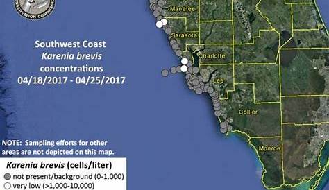 Red Tide Levels Low As Weekend Temperatures Rise | Sarasota, FL Patch