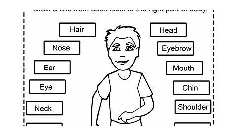 label the body parts worksheet education com - label the body parts