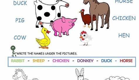 Farm animals Interactive worksheet | Animal worksheets, Kindergarten