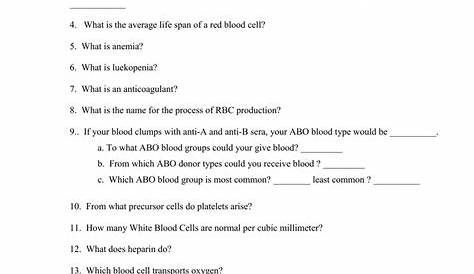 Blood Worksheet.doc