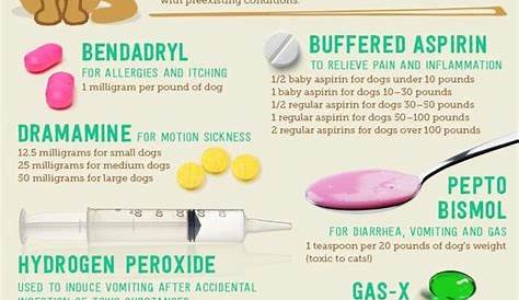 Over The Counter Medications - Dog friendly?! - Bayfield Animal Hospital