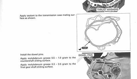 2005 Honda ruckus wiring diagram