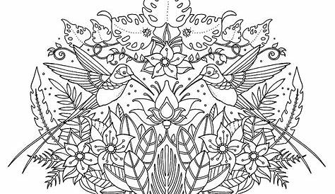 Coloring Book Johanna Basford - 528+ SVG File for Cricut - Free SVG Cut