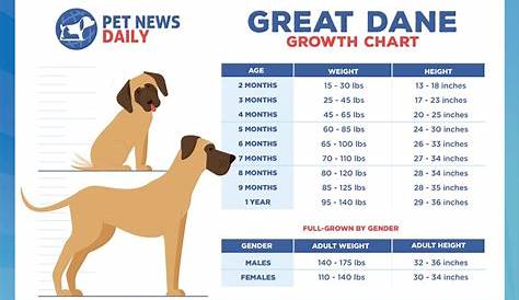 great dane feeding chart by age