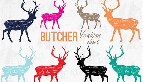 Venison Meat Cut Diagram Scheme Blackboard Stock Vector Colourbox