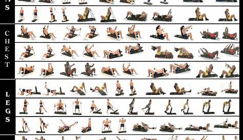 Home Gym Workout Routine Chart | Kayaworkout.co