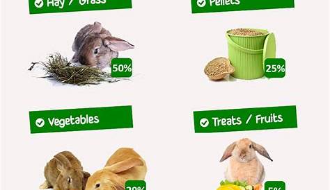 printable rabbit diet chart
