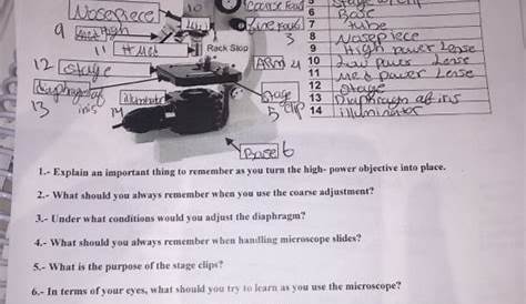 Parts Of A Microscope Worksheet Answers - Promotiontablecovers