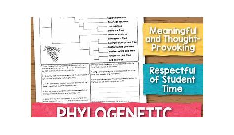 phylogenetic tree worksheet