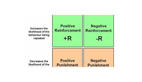 What is the difference between reinforcement and punishment