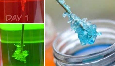 science activity for elementary