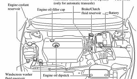 Mazda Mazda6: Engine Compartment Overview - Maintenance and Care