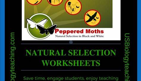 Evolution and Natural Selection Worksheets - USBiologyTeaching.com