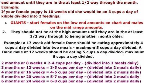 feeding chart for great dane puppies