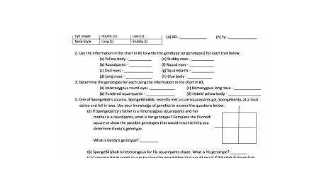 Punnett Square Worksheet 1 Answer Key - Fill Online, Printable
