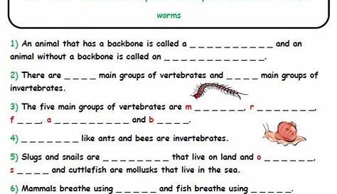Invertebrates Worksheet For Grade 4