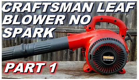 Hyper Tough Leaf Blower Won't Start - img-Aaralyn